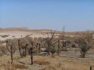 Khalate Talkh Desert Oasis in Iran