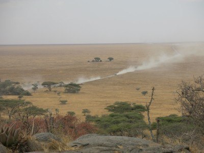 The Serengeti goes on for miles - it's huge!